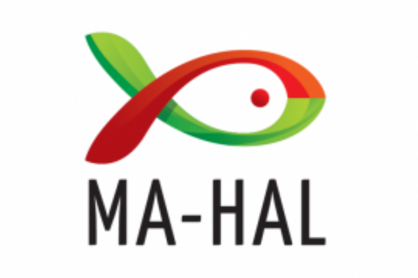 Elfogadták a Mahal idei költségtervét és új elnökségi tagot választottak