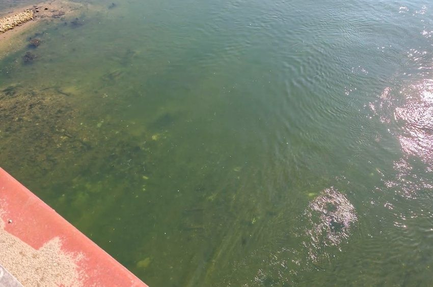 Láthatóvá vált a Tisza mederfeneke a szolnoki belvárosi hídról – fotókkal 