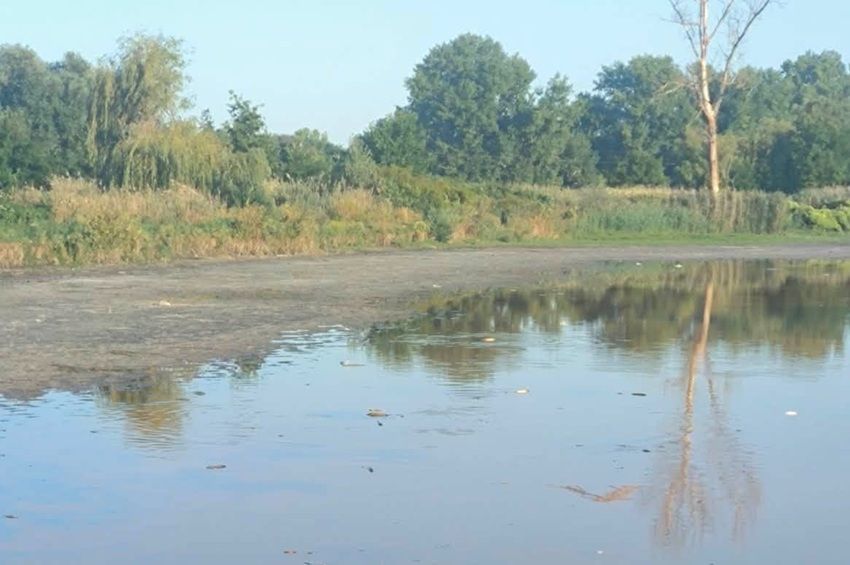 Gyakorlatilag kiszáradt a Merseváti tőzegbánya-tó, lehetetlen a halmentés