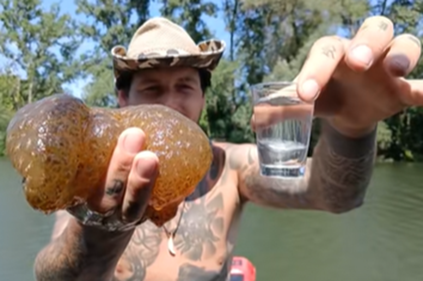 Óriás mohaállatot és édesvízi medúzát fogott egy horgász a Hármas-Körösből – videóval 