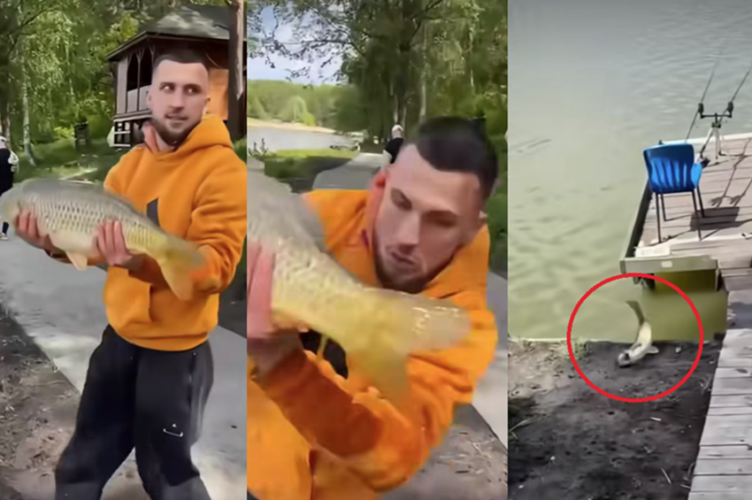 Videó: röhögve távozott a ponty az eltanyált pecástól