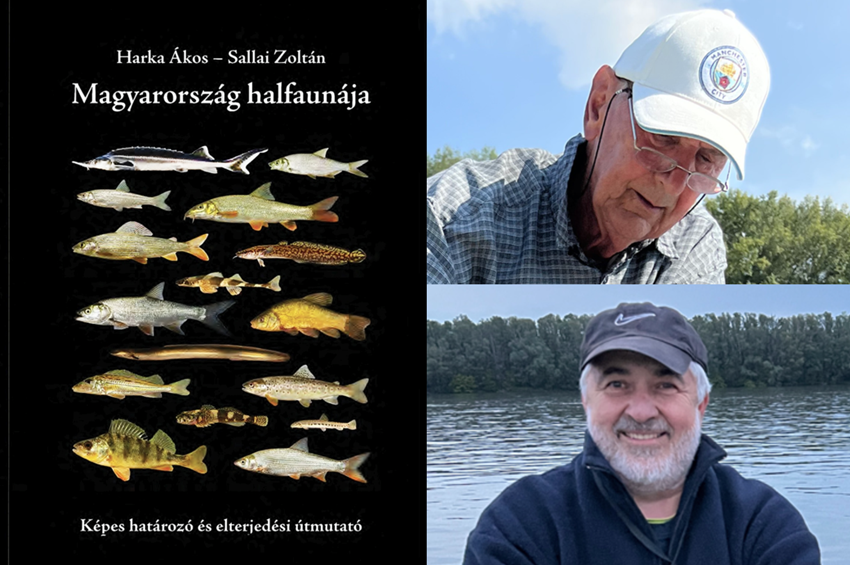 „Fél évszázad halfaunisztikai adatait foglaltuk össze” – interjú Sallai Zoltánnal  