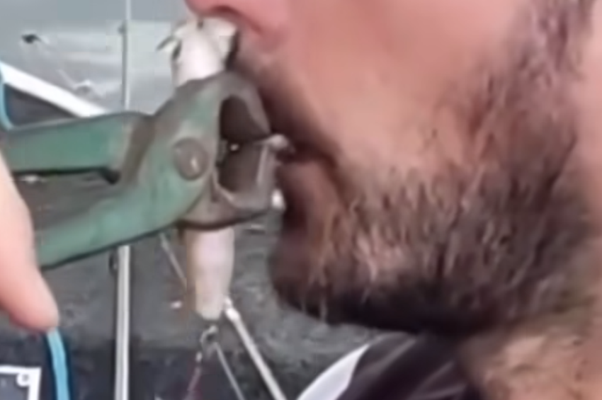 Videó: harapófogóval szedték ki a horgász szájába akadt wobblert