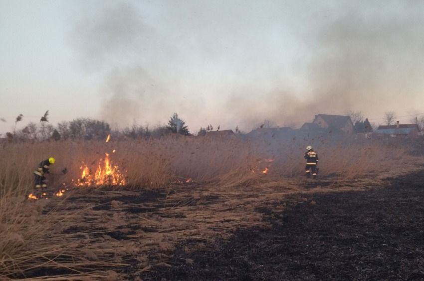 15 hektáron leégett a nádas a Balatonnál – videóval