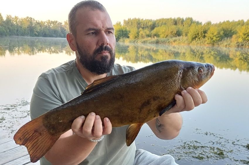 Fél méter feletti compó akadt horogra Bősnél