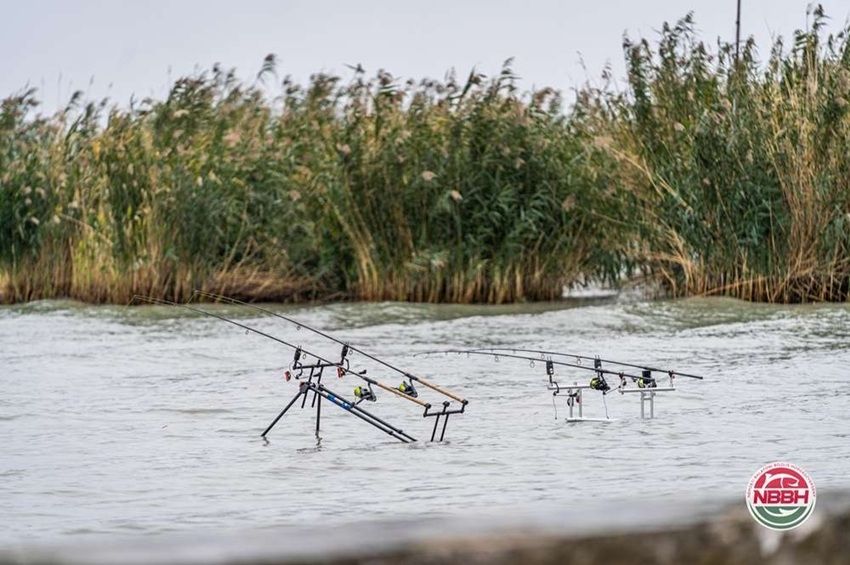 Pénteken kezdődik a világ leghosszabb pontyfogó versenye a Balatonnál 