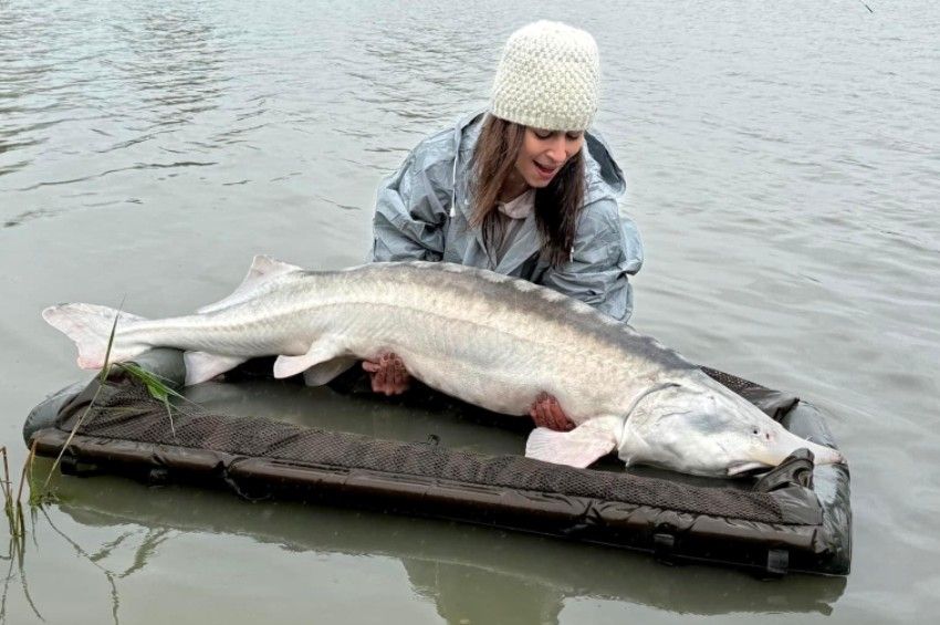 Óriási tokhalat fogott a Príma Primissima díjas műsorvezető – exkluzív képgalériával 