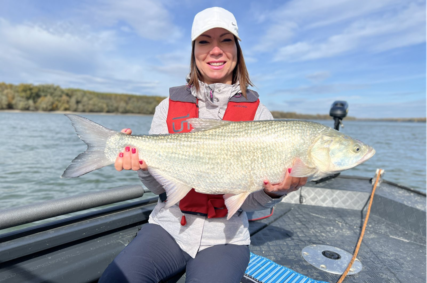 A csónak alá akart menekülni a dunai óriásbalin – fotókkal