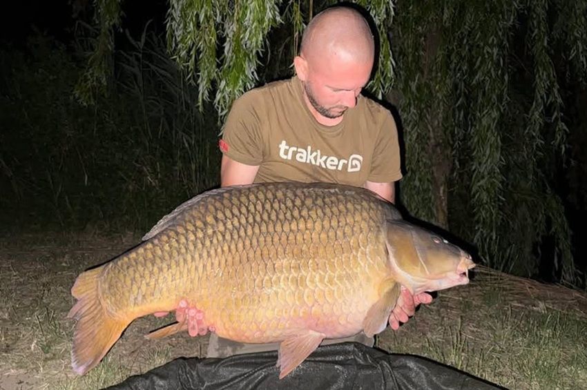 Újra horogra akadt a Látóképi-víztározó 36 kilós pontya – fotókkal