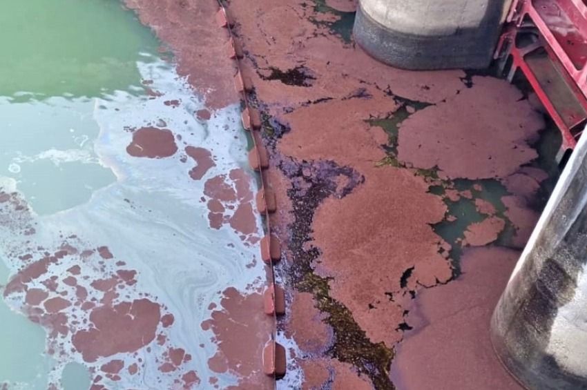Hat kilométeres olajfoltot fedeztek fel a Dunán – fotókkal