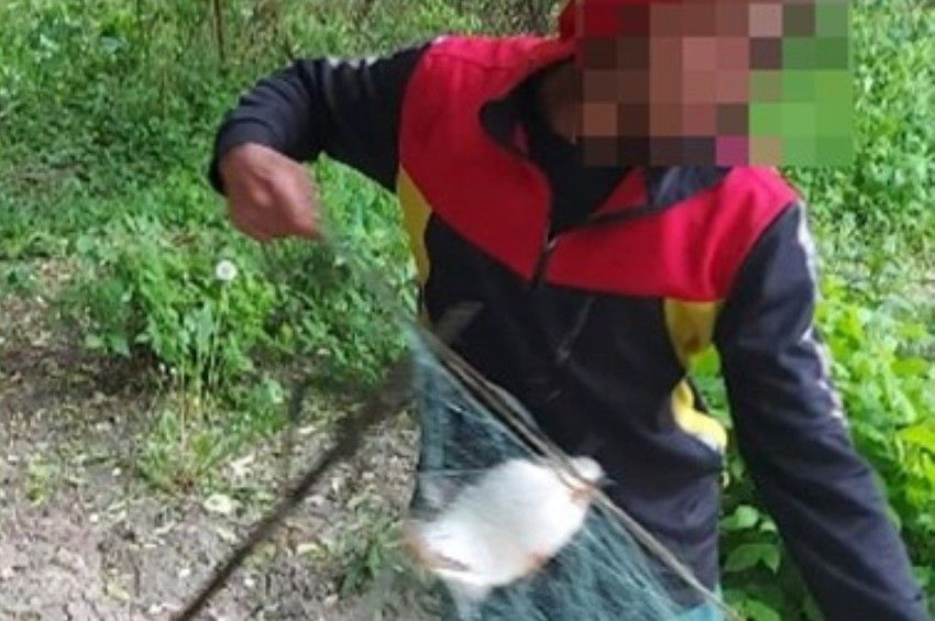 Nyolcméteres nyakzó hálóval állt a Tiszában, amikor a halászati őrök megjelentek