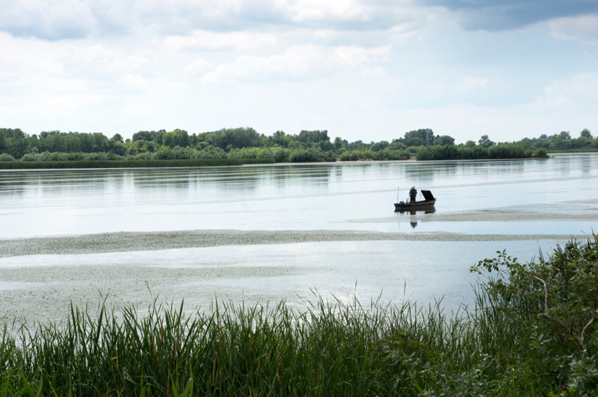 Pihenés a természet ritmusában – Horgászat és csónakbérlés a Tisza-tónál