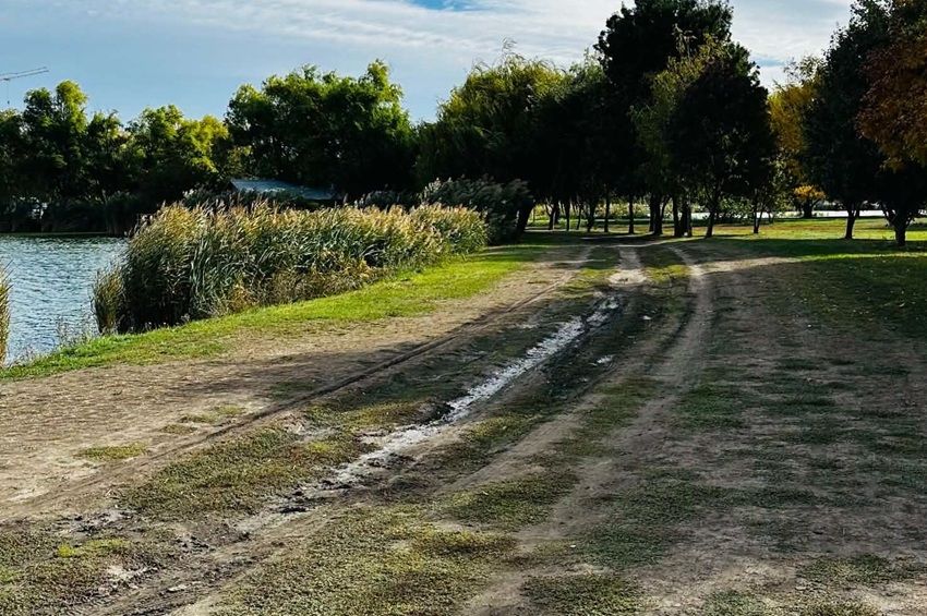 Autóval is megközelíthetők lesznek a horgászhelyek, sétány épül a Palotavárosi-tavaknál