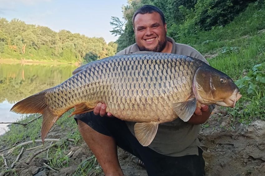 Egy órán belül háromszor repítette mennybe a horgászt a Tisza – fotókkal