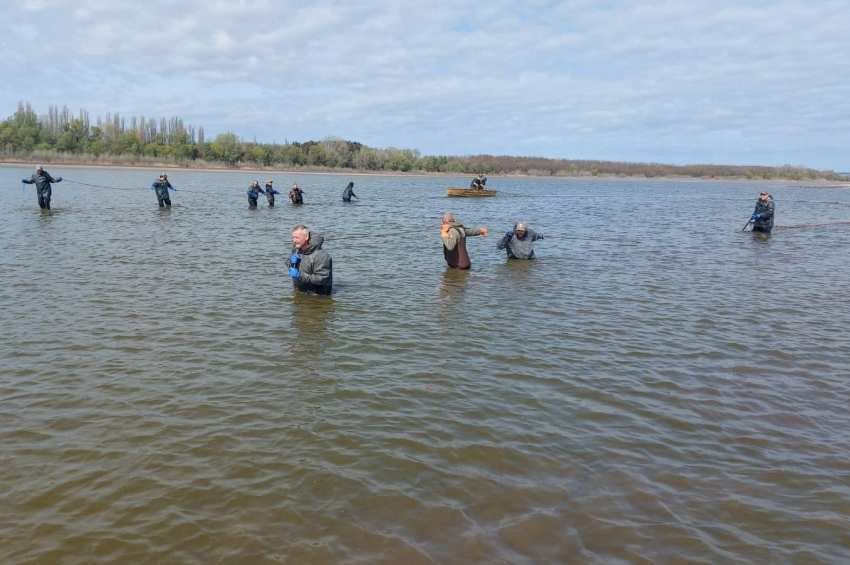 Elkezdődött a Pátkai-víztározó lehalászása – fotókkal, videóval  