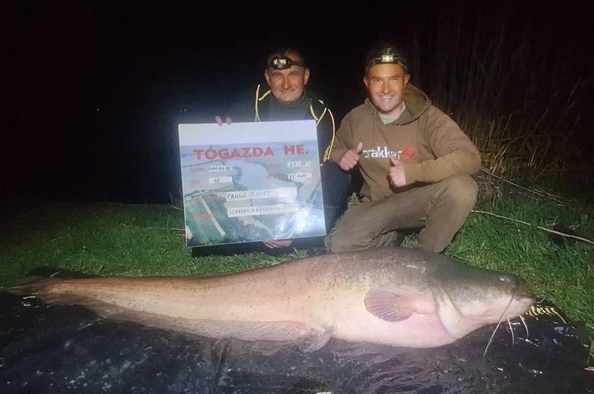 74 kilós harcsa forgatta fel a versenyt Kisgyalánban – fotókkal 