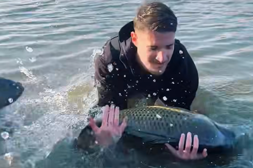 Videó: megunta a fotózást a mezőtárkányi ponty, és lelépett
