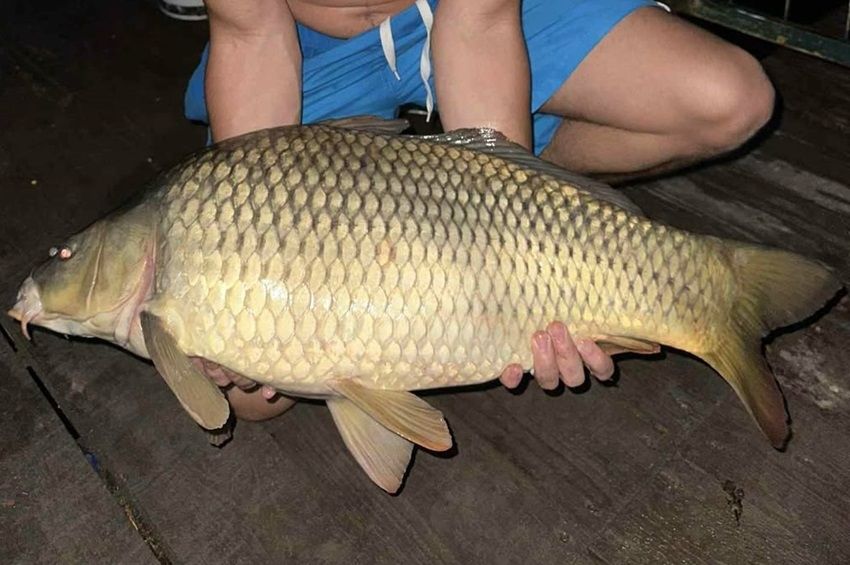 „A Tisza nem kegyelmez” – egy óráig harcoltak a szolnoki gigaponttyal