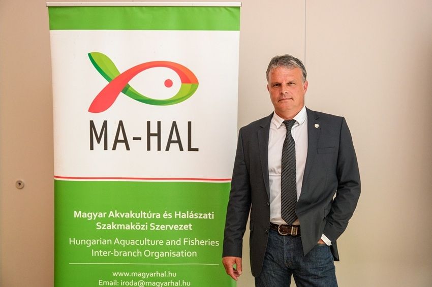 Puskás Nándort választották a Mahal elnökének