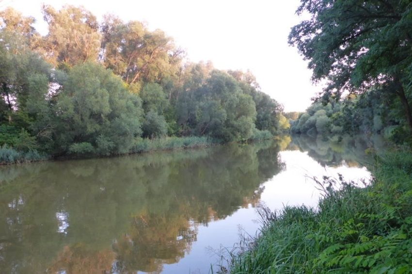 Visszacsatolnak egy holtágat a Rába-folyóhoz