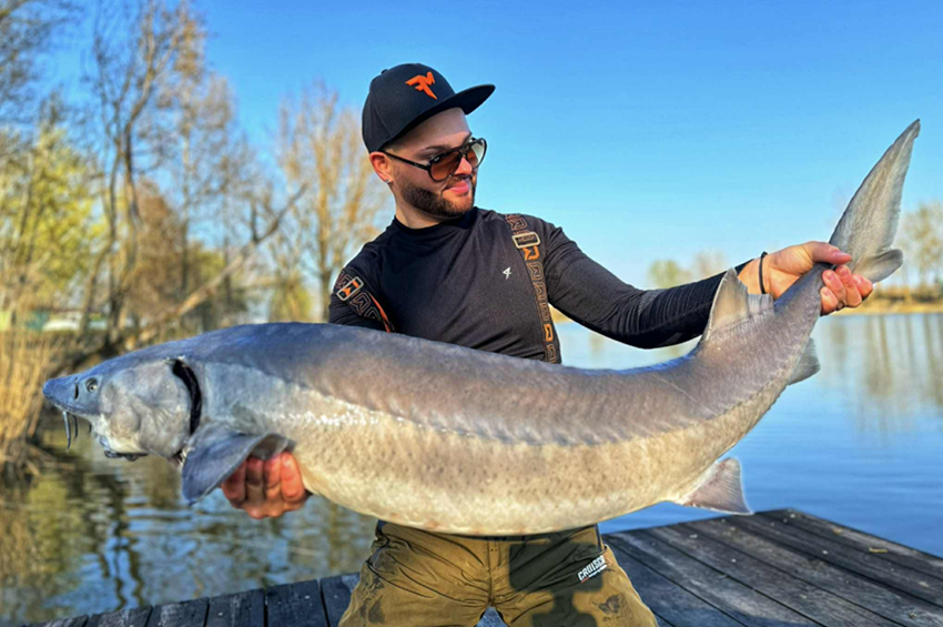 Több mint 200 tokhalat fogott idén Richter Ákos – fotókkal 