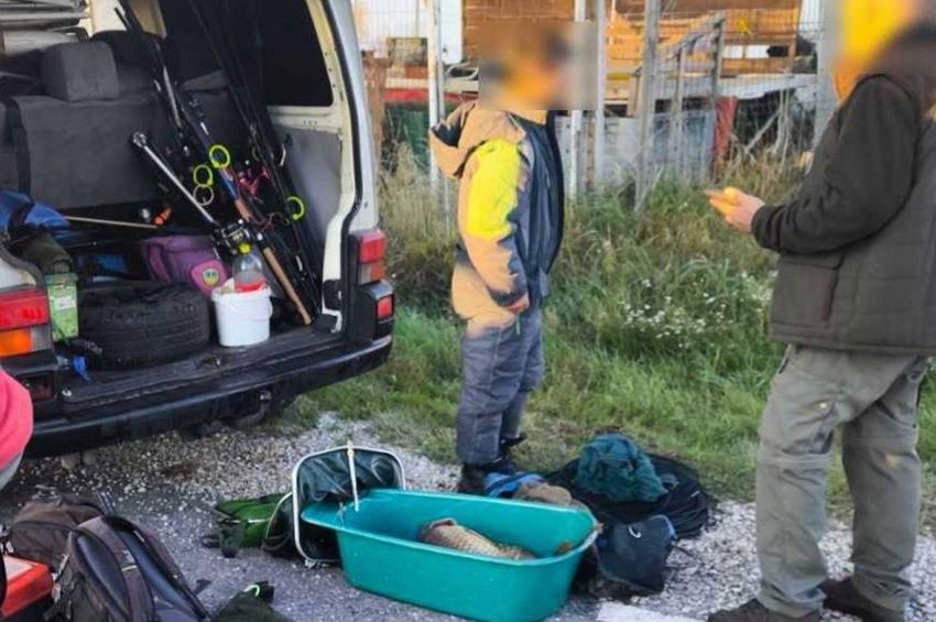 Román pontytolvajt kapcsoltak le a 33-as számú főúton – fotókkal