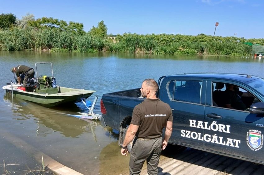 Kettőt sólyapályát adtak át a Keleti-főcsatornán