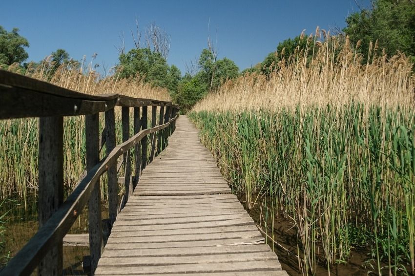 Elbontják a lezárt stégkapukat a Balatonnál