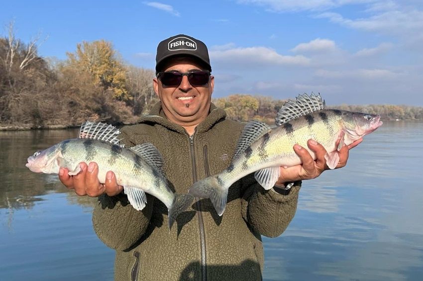 Nem mérte meg a rekordgyanús kősüllőt a Tisza-tó süllővadásza – fotókkal