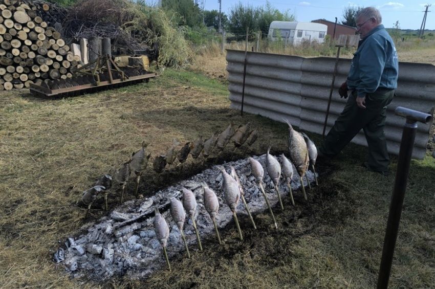 Különleges halsütési hagyomány éledt újra Baranyában – fotókkal 