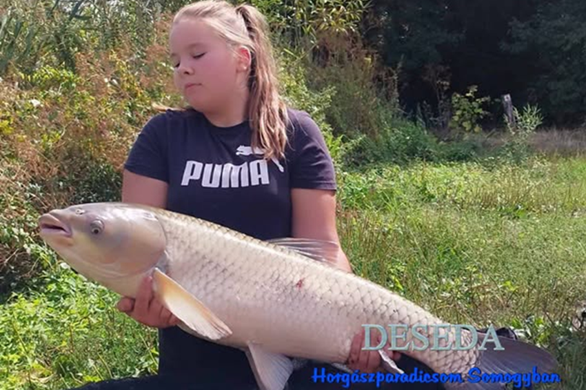 Óriási amurral vitte a prímet a kislány a családi pecán