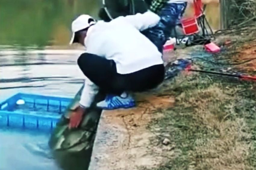 Egy pillanat alatt veszett kárba a horgászok zsákmánya – videó