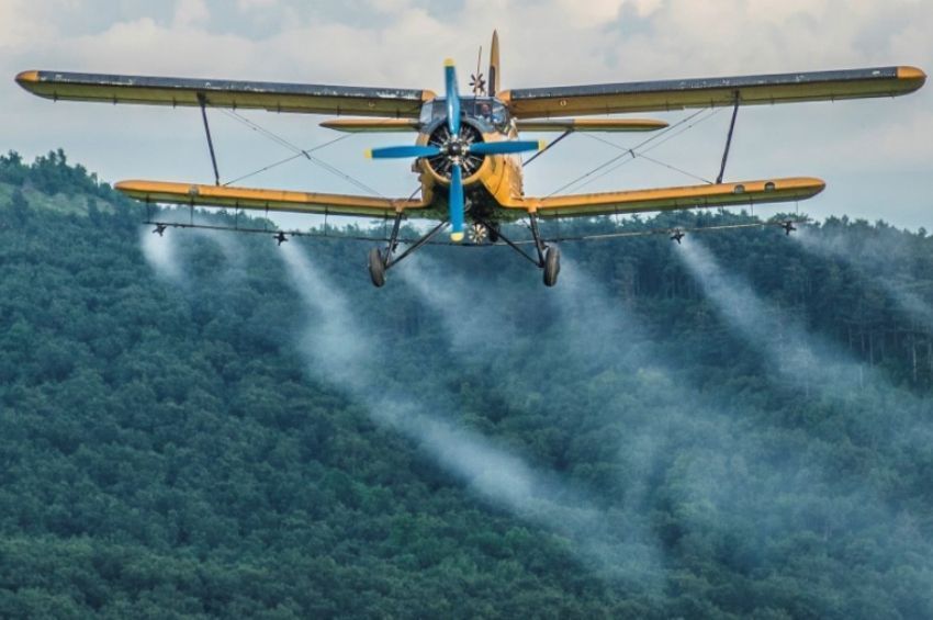 85 ezer hektáron lesz szúnyogirtás, a Szigetközben légi kémiai kezelést alkalmaznak