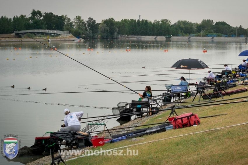 A Győr-Moson-Sopron vármegyeik nyerték a Tagszövetségi Csapat OB-t – fotókkal 