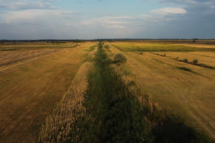 Eltűnt a Tápió-folyó Jászboldogházánál – búskomor drónvideón a csontszáraz meder