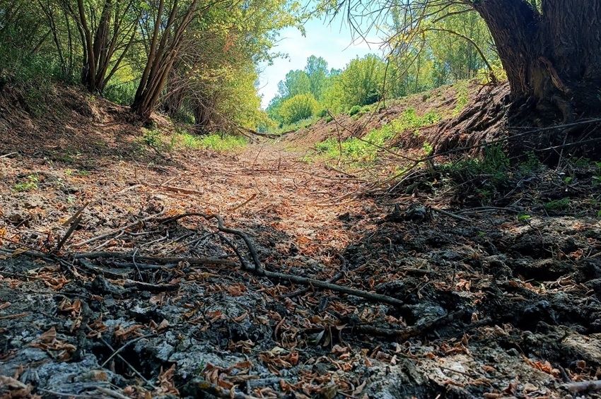 „A műtét sikerült, de a beteg meghalt” – nekrológot írt a vízügy a kiszáradt Tarna-folyóról