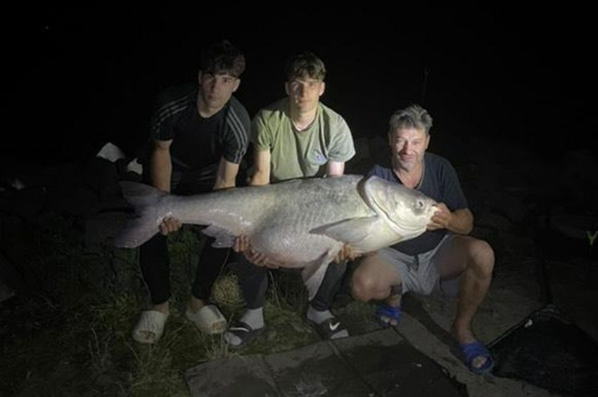 Megközelítették az országos busarekordot a Tisza-tavon