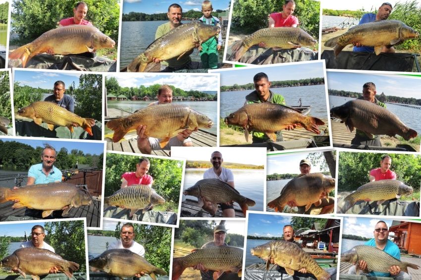 Több mint 30 „fényképes hal” került horogra a hétvégén Tatán