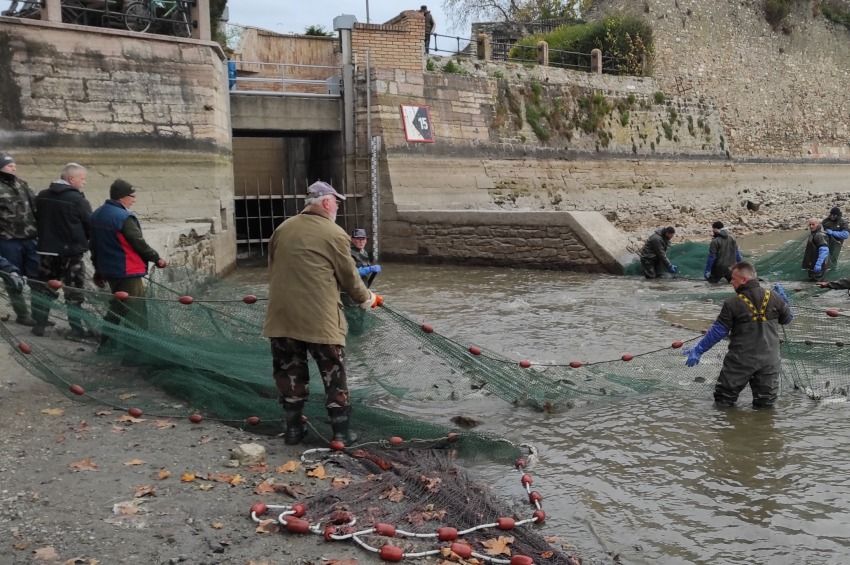 Önkéntesek segítségével halászták le a tatai Öreg-tavat – fotókkal