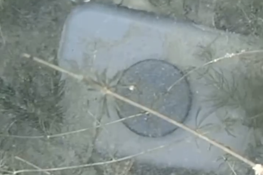 Videó: a saját mobiljára pecázott a szerencsétlen lékhorgász 