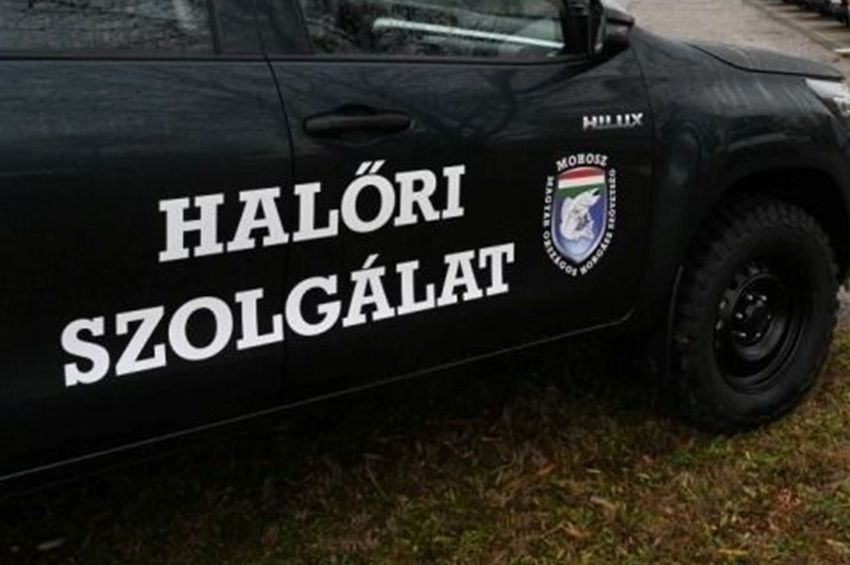 Vasdarabbal támadt a halőrökre egy horgász Dunavarsányban 