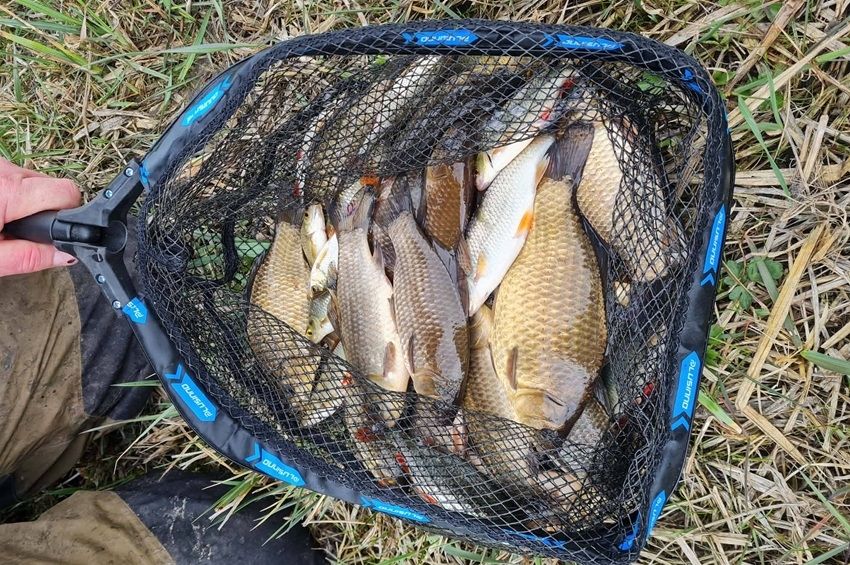 Spiccbottal fogták tele a szákot az új kezelésbe került vadregényes csatornán – fotókkal