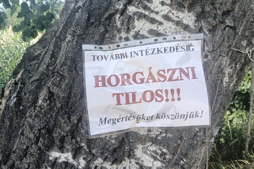 Horgászati tilalmat rendeltek el a Dömsödi Holt-Dunán a halpusztulás miatt