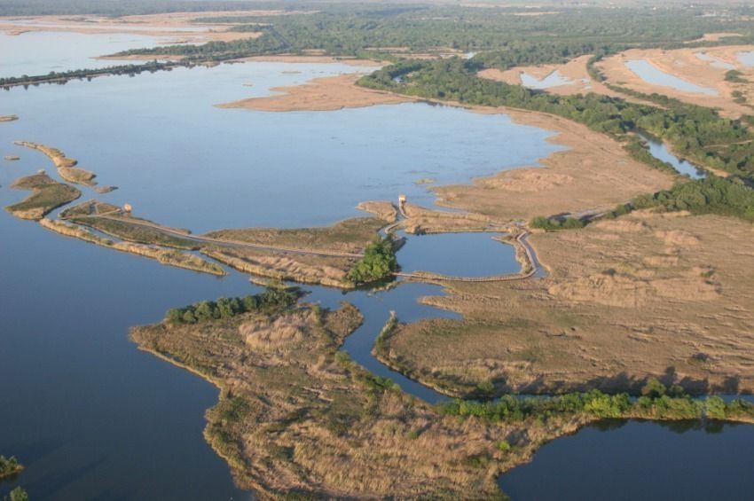 Fél áron lehet hozzájutni az éves Tisza-tavi engedélyhez egy akció keretében 