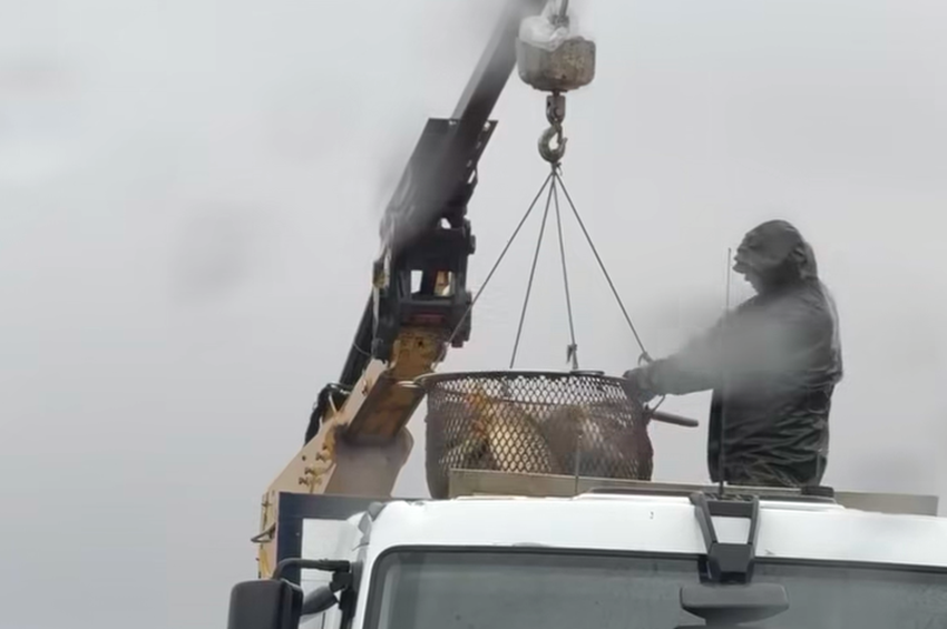 13 tonna pontyot telepítettek a Tisza-tóba a hosszú hétvége előtt – videóval