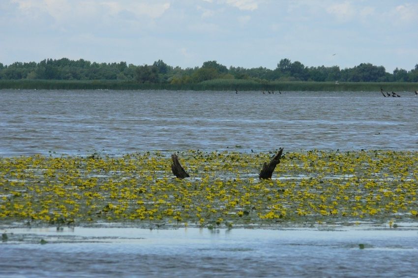 Egylépcsőben hajtják végre a Tisza-tó téli leürítését 