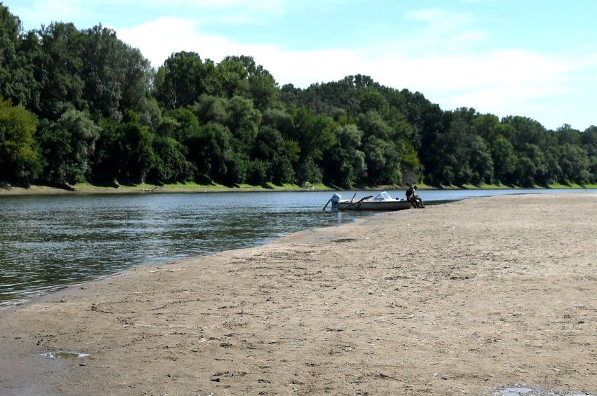 Folytatódik az aszály: megint negatív rekordot döntött a Tisza vízállása