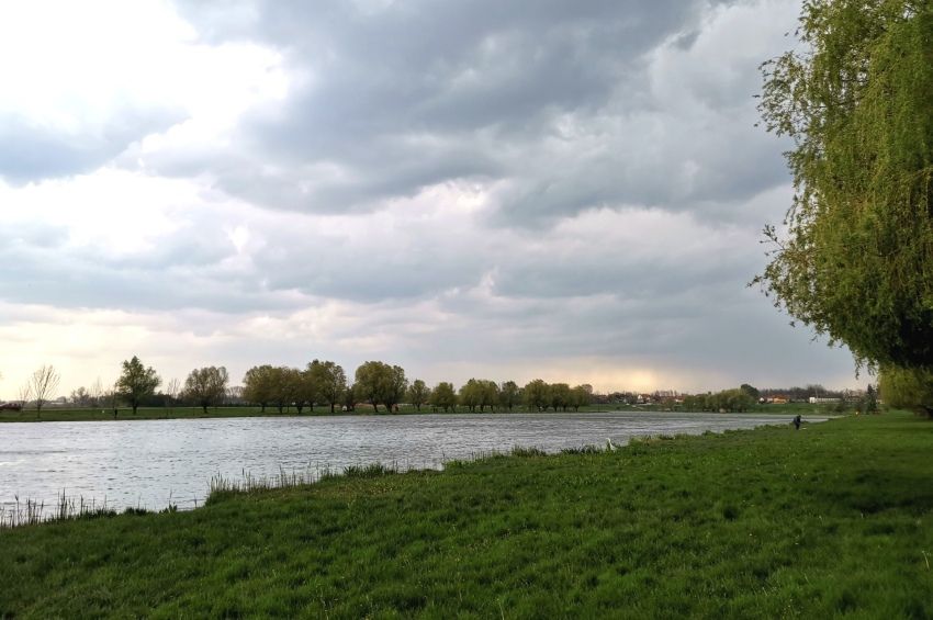 60 hektáron élednek újjá holtágak a Közép-Tisza mentén 