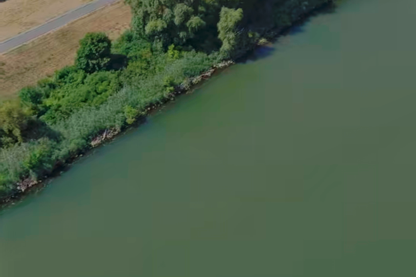 Újabb ingyenes horgászhelyekkel bővül a Tisza-tó – videóval