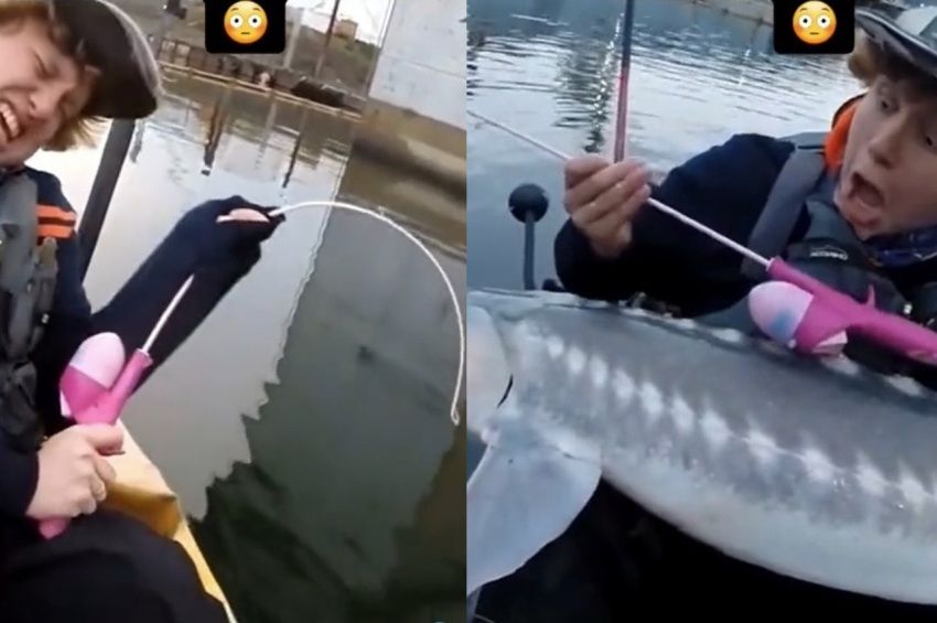 Videó: barbie horgászbottal fárasztottak ki hatalmas tokhalat